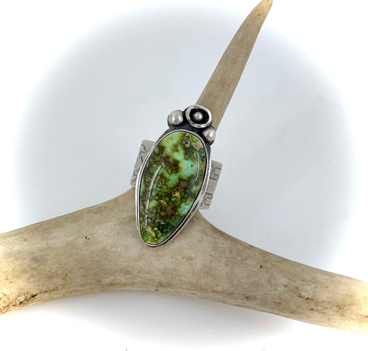 Ring in Sterling Silver with Sonoran Gold Turquoise